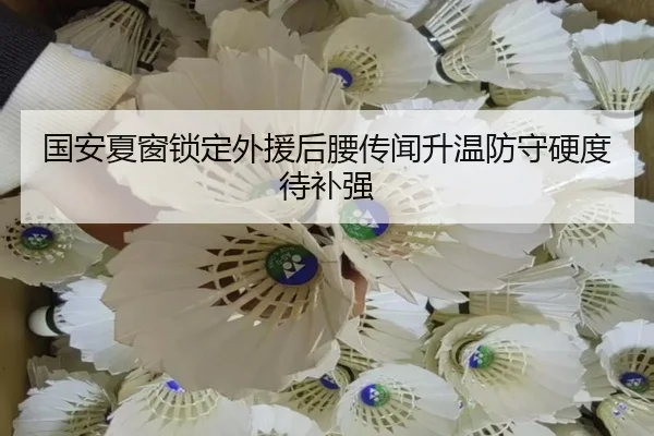 国安夏窗锁定外援后腰传闻升温防守硬度待补强